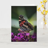 Papillon, carte (Fleur jaune)