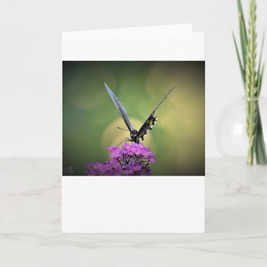 Papillon, carte (Devant)