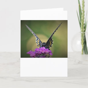Papillon, carte