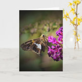 Papillon, carte (Fleur jaune)