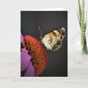 Papillon, carte