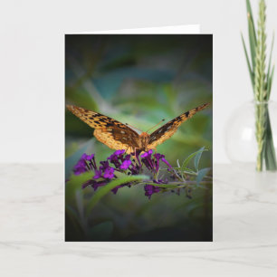 Papillon, carte