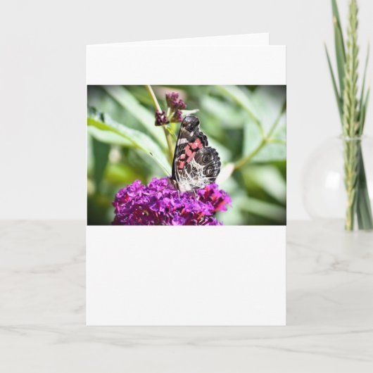 Papillon, carte (Devant)
