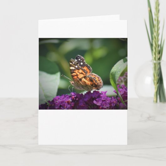 Papillon, carte (Devant)