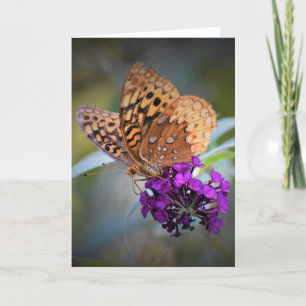 Papillon, carte