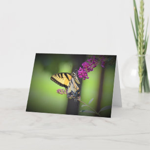 Papillon, carte