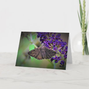 Papillon, carte