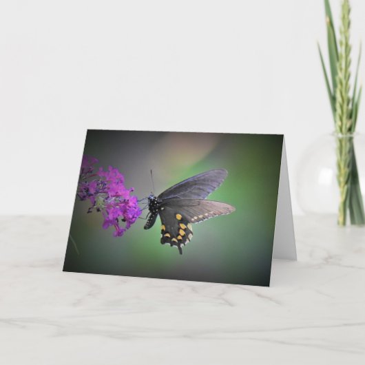 Papillon, carte (Devant)