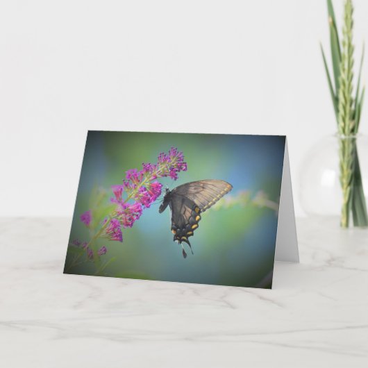 Papillon, carte (Devant)