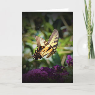 Papillon, carte
