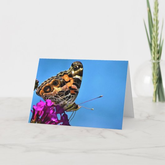 Papillon, carte (Devant)