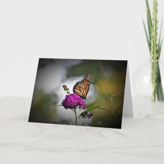 Papillon, carte (Devant)