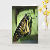 Papillon, carte (Fleur jaune)