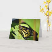 Papillon, carte (Fleur jaune)