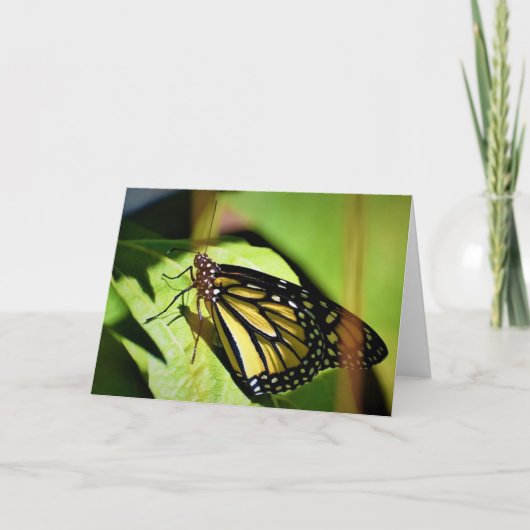 Papillon, carte (Devant)