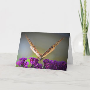 Papillon, carte