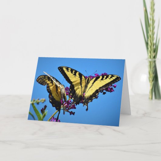Papillon, carte (Devant)