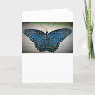 Papillon, carte