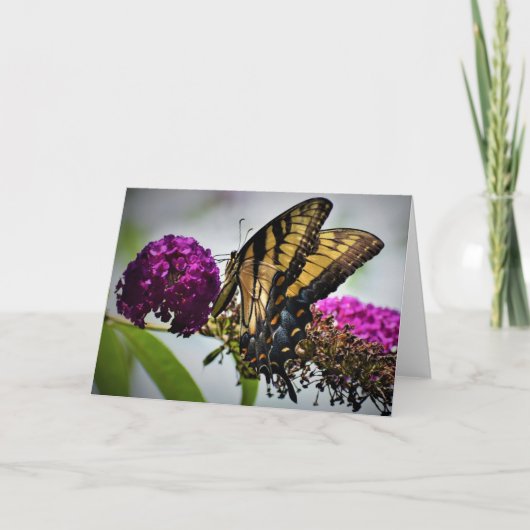 Papillon, carte (Devant)