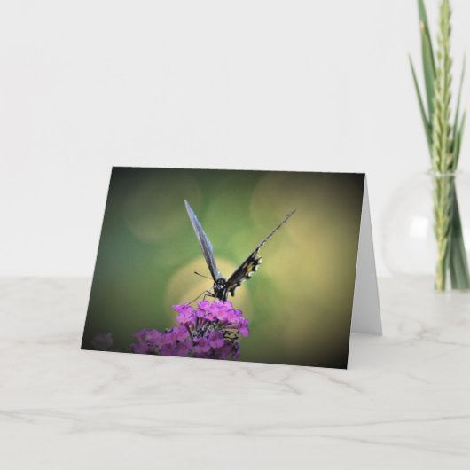 Papillon, carte (Devant)