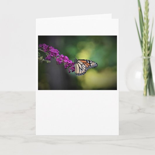 Papillon, carte (Devant)