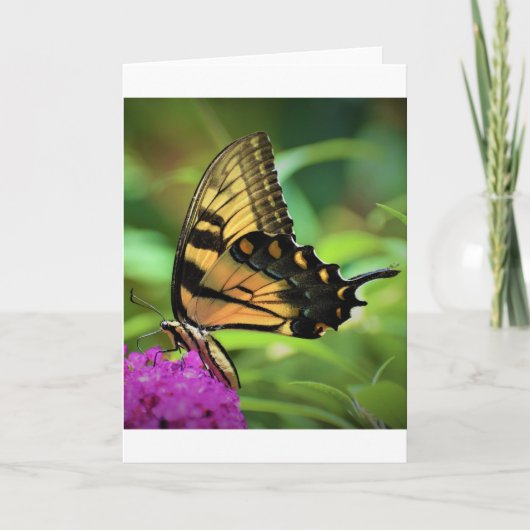 Papillon, carte (Devant)
