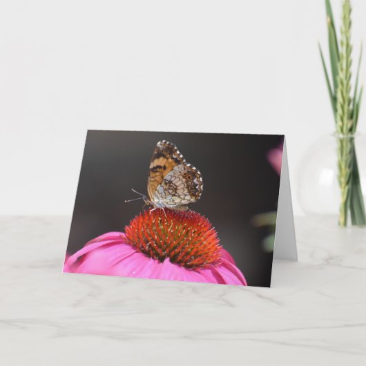 Papillon, carte (Devant)