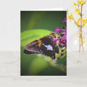 Papillon, carte (Fleur jaune)