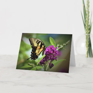 Papillon, carte