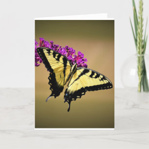 Papillon, carte