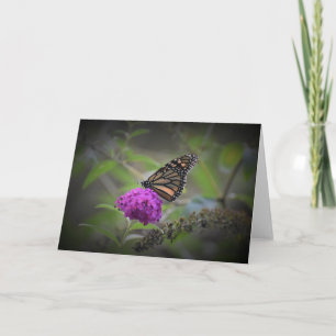 Papillon, carte