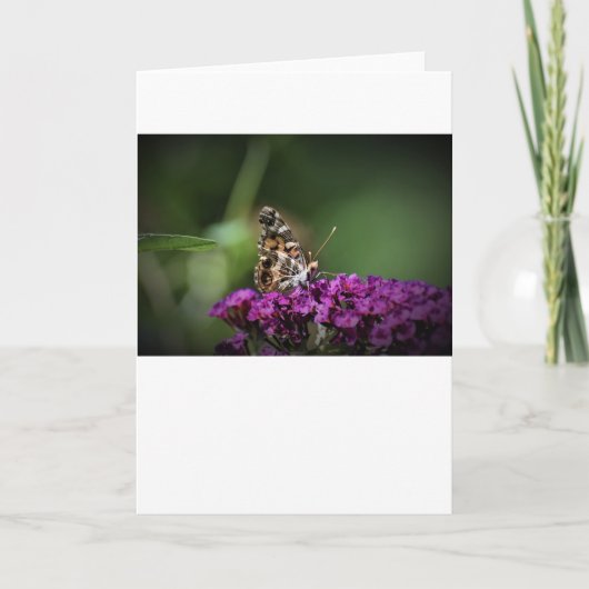 Papillon, carte (Devant)