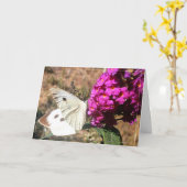 Papillon. Carte de vœux. (Fleur jaune)