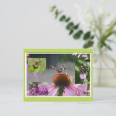 Papillon carte géographique Collage DIY Carte post (Debout devant)