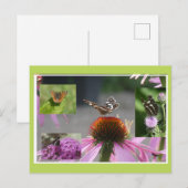 Papillon carte géographique Collage DIY Carte post (Devant / Derrière)