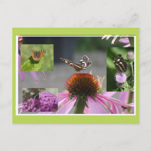 Papillon carte géographique Collage DIY Carte post