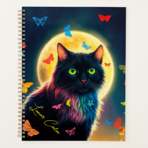 Papillon chat brillant insecte starry animal de nu