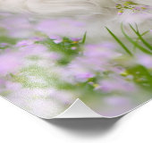 Papillon Chien Cute Romantique Portrait Photo - (Coin)