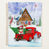 Papillon Chien dans la livraison de Noël Camion Ne (Devant)