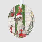Papillon Chien Noël (devant)