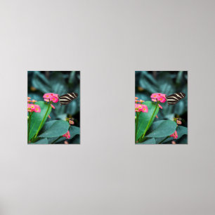 papillon coloré dans le jardin