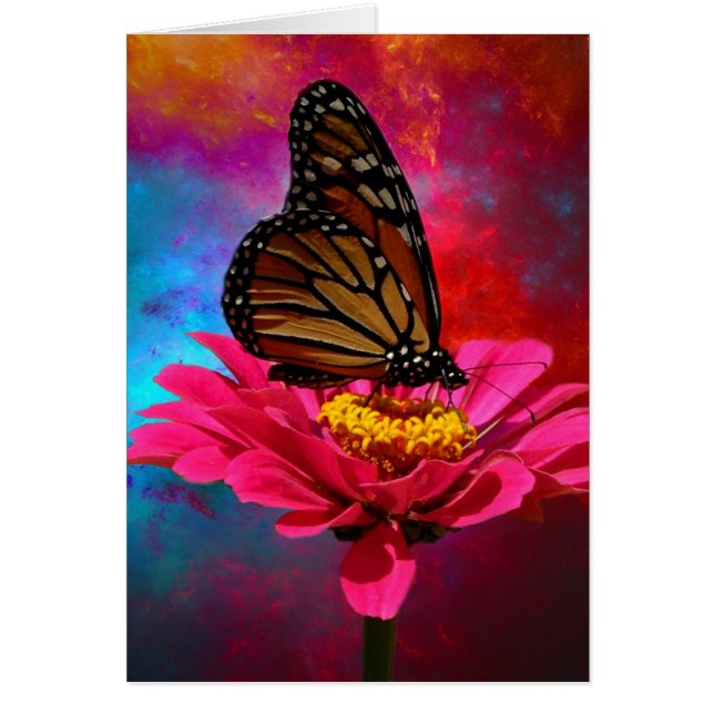 papillon de Bohème turquoise de turquoise fuchsia (Devant)