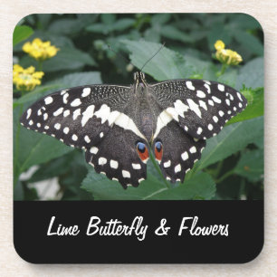 Papillon de chaux et fleurs Dessous de verre de li