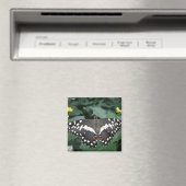 Papillon de chaux et fleurs Magnet (In Situ (Lave-vaisselle))