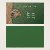 Papillon de Chouette Brown sur la nature de l'arbr (Devant & derrière)