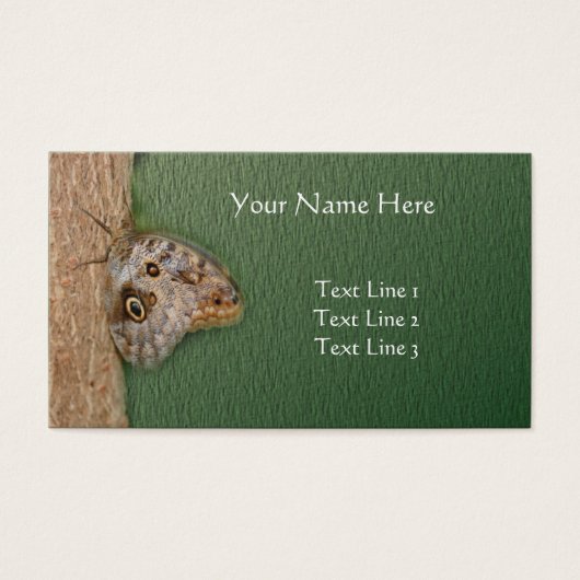 Papillon de Chouette Brown sur la nature de l'arbr (Devant)