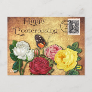 Papillon de croisement - Carte postale