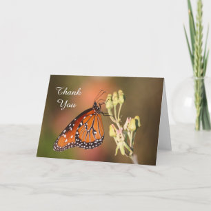 Papillon de la reine sur une branche, Merci