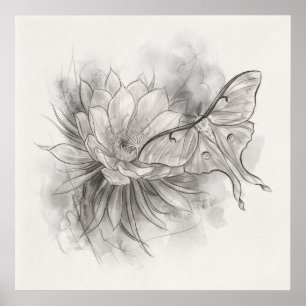 Papillon de lune Fleur de lotus Affiche de croquis