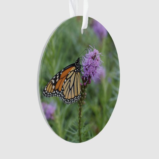 Papillon de monarque (devant)